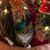Tonya Taylor Disbrow's profile image