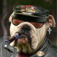 Jeff Csonka's profile image