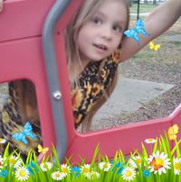 Wendy Foreman-van Zandt's profile image