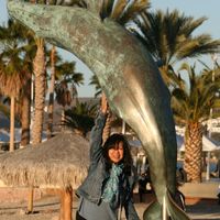 Lorna D. Begley's profile image