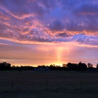 David Wise's profile image