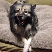 Michael Tinney's profile image