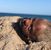 Tony Cartel's profile image