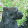 Rosemary L.'s profile image