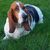 Jessica Gnan Miller's profile image