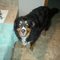 Tania D.'s profile image