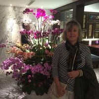 Susan Terry Bry's profile image