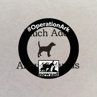 Ann Garner's profile image
