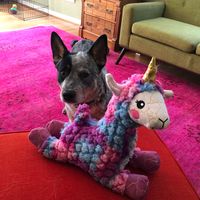 Fu Manchu's profile image