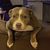 Leslie Snyder-Papay's profile image