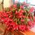 Debbie Roberts's profile image