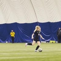 Allison Casey's profile image