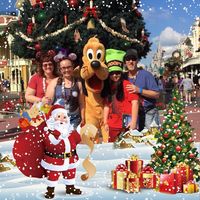 Kris M MacGillivray's profile image