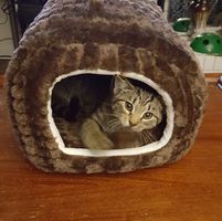 Kathy Lawson's profile image
