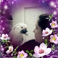 Lorraine Rivera's profile image