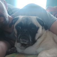 Wayne Wilson's profile image
