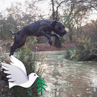 Charlie Kessler's profile image