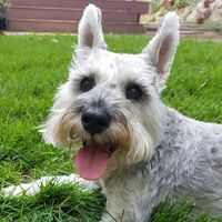 Gustar Jay's profile image