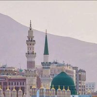 Faruq Adamu's profile image