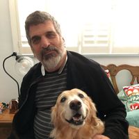 David Starkman's profile image