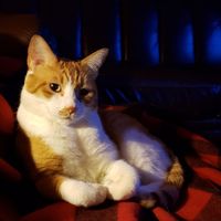 Rob Moore's profile image