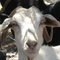 Renjit M.'s profile image