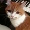 J T.'s profile image