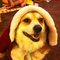 Kelly D.'s profile image
