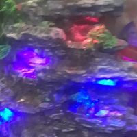 Luis Peréz's profile image