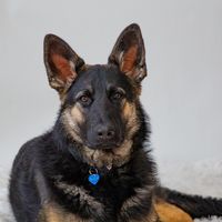 Stormy Barton's profile image