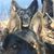 Carm Ashbeck's profile image