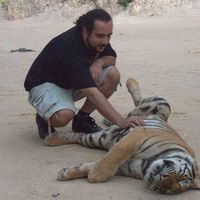 Kemal Akbay's profile image
