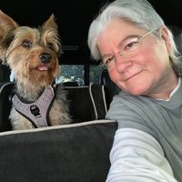 Sharon Simmons's profile image