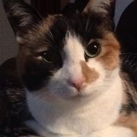 Barbara B. Carlson's profile image