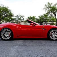 Renny Paolini's profile image