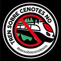 Lee Ann Waggener's profile image