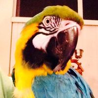 Steven Dale Streich's profile image