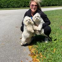 Susan Kudirka Ross's profile image