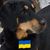 Melissa R Dyess's profile image