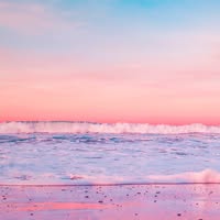 Tabbi Bird's profile image