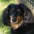 Tina Marcelle's profile image