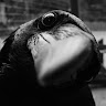 Tomasz's profile image