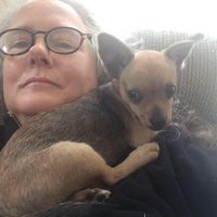 Susan Murkland's profile image