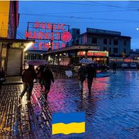 Ali Karver's profile image