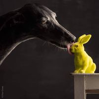 Lori Lenhart's profile image