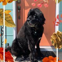 Barkley Giblin's profile image