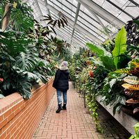 Sara Haas's profile image