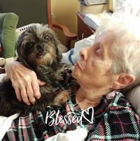 Susan Blankenbaker Daily's profile image