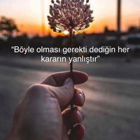 Caglar Bayram's profile image