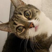 Ria Du's profile image